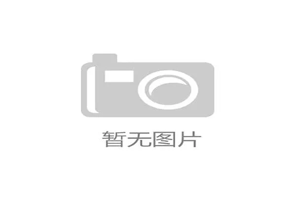 新闻中心动态汇总研发团队阶段性成就助力公司高质量发展，研发团队建设有哪些方面